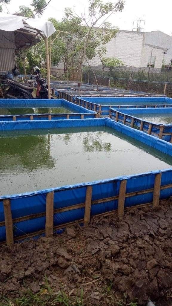 Aquaculture Farming